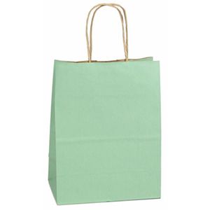 Sage, Medium Shadow Stripe Paper Shopping Bags, 8" x 4-3/4" x 10-1/2" (Cub)