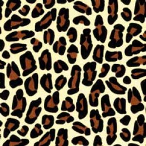 Leopard, Animal Printed Tissue Paper