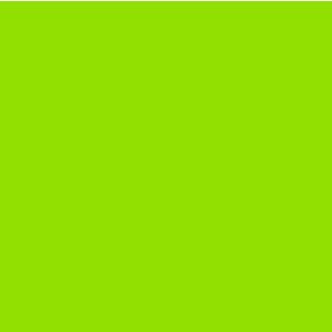 Fluorescent Green - 314300536
